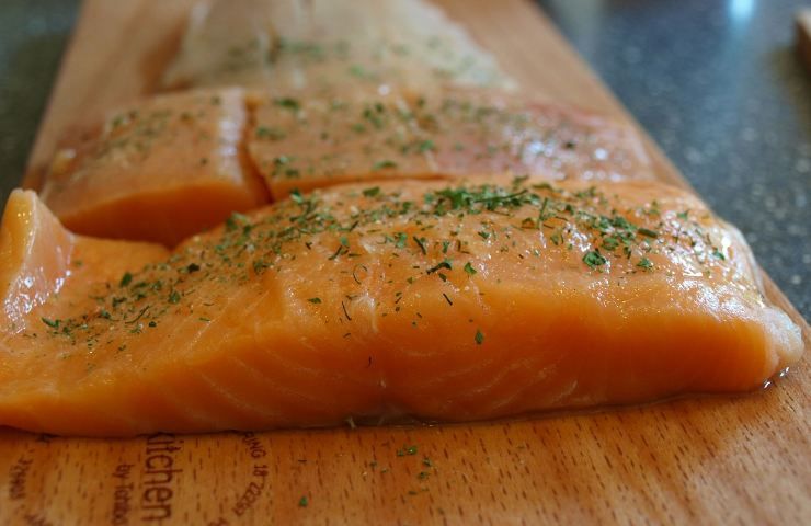 Gustoso e prelibato salmone