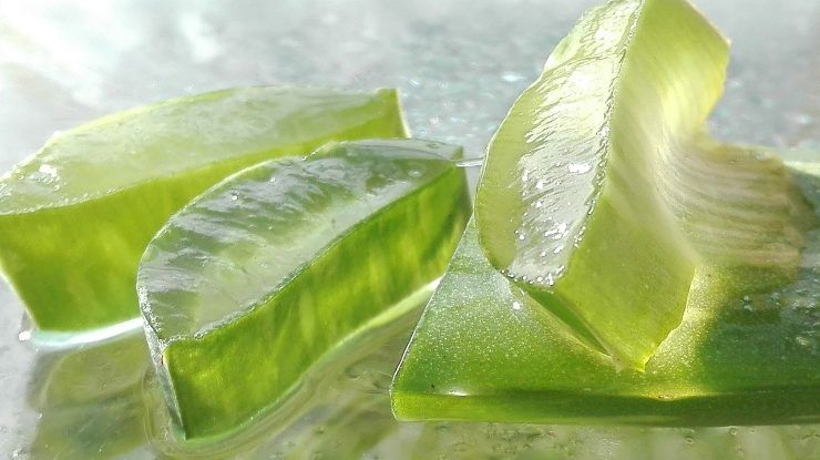 Il gel estratto dall'aloe vera è utile a risolvere tanti problemi di salute