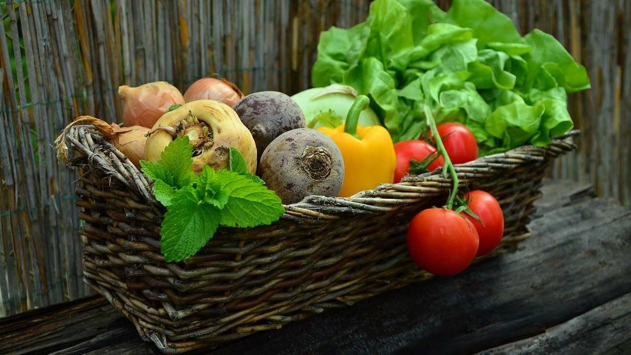 Una alimentazione corretta è importantissima per la salute