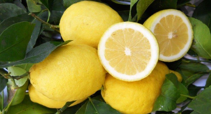 Benefici Limoni bolliti