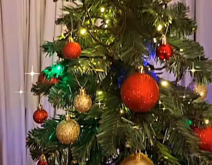 Natale-Elettra Lamborghini