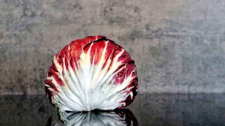 ricetta radicchio al forno