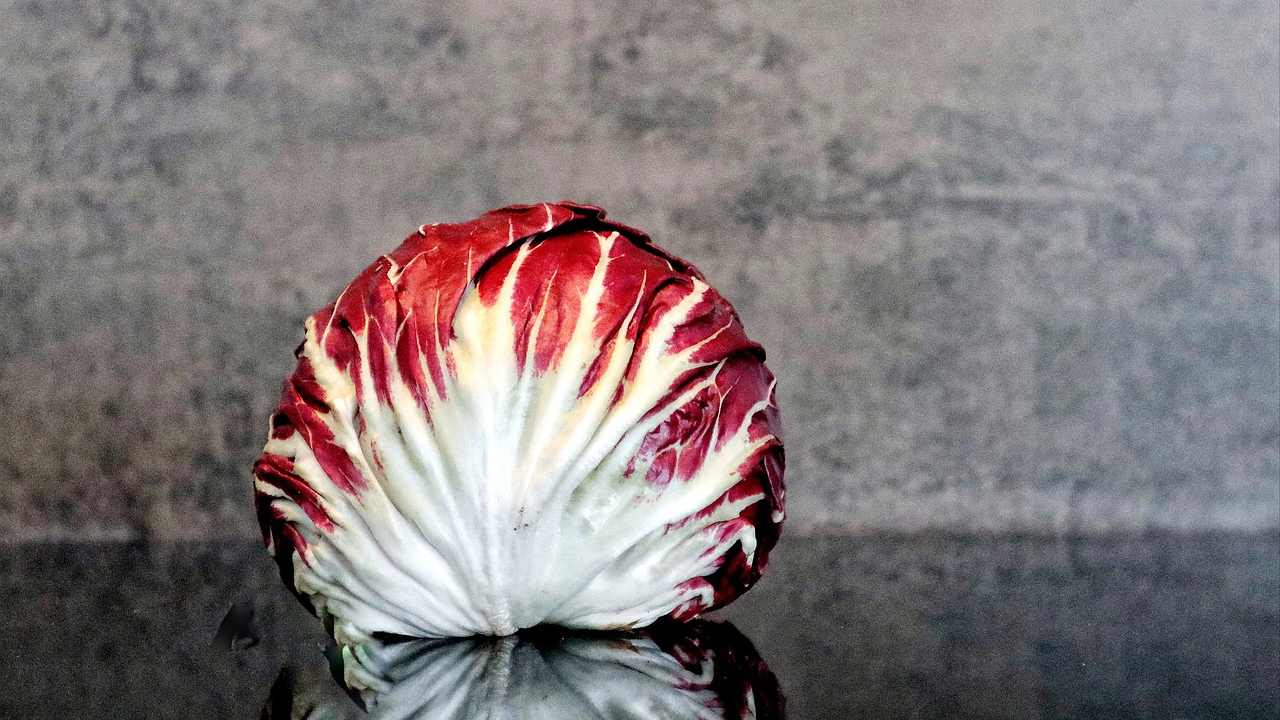 ricetta radicchio al forno