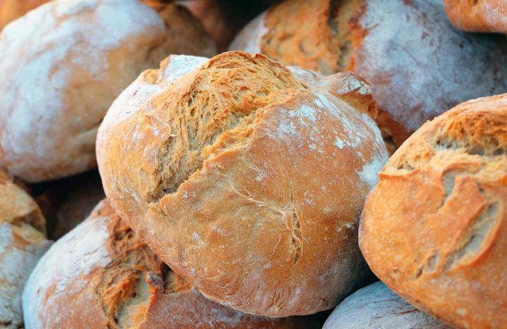 pane farina segale ricetta