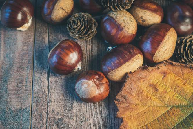 castagne con bucce