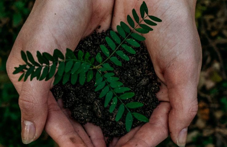 uso-termosifoni-rispetto-ambiente