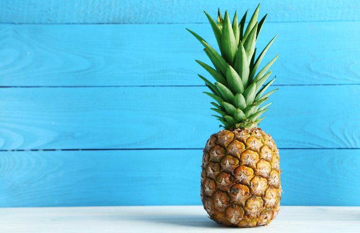 Non gettare mai il ciuffo dell'ananas