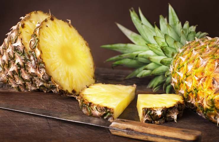 Cura e pazienza porteranno nuovi frutti di ananas