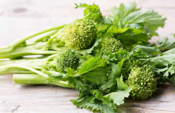 cime di rapa