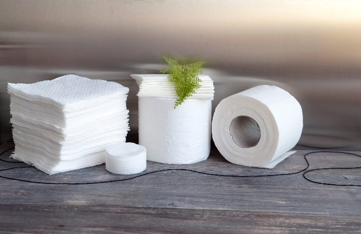 Proteggete la carta igienica dai germi