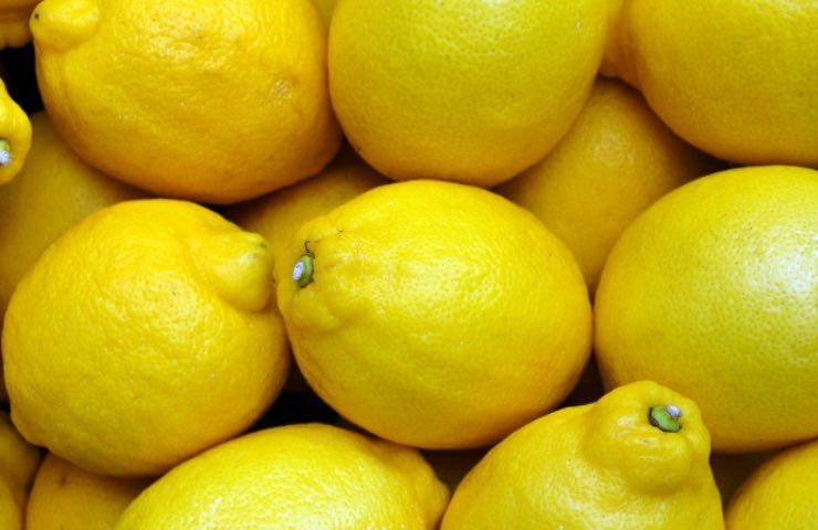 come conservare limoni