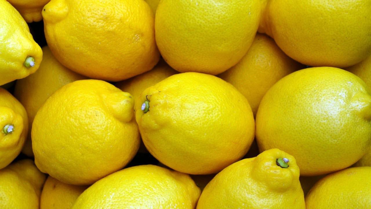 come conservare limoni