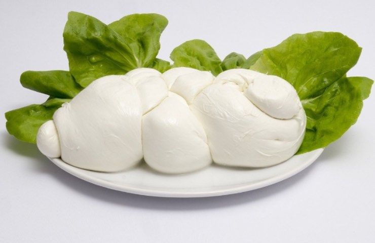 mozzarella