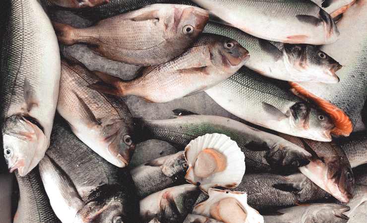 mangiare pesce evita malattie
