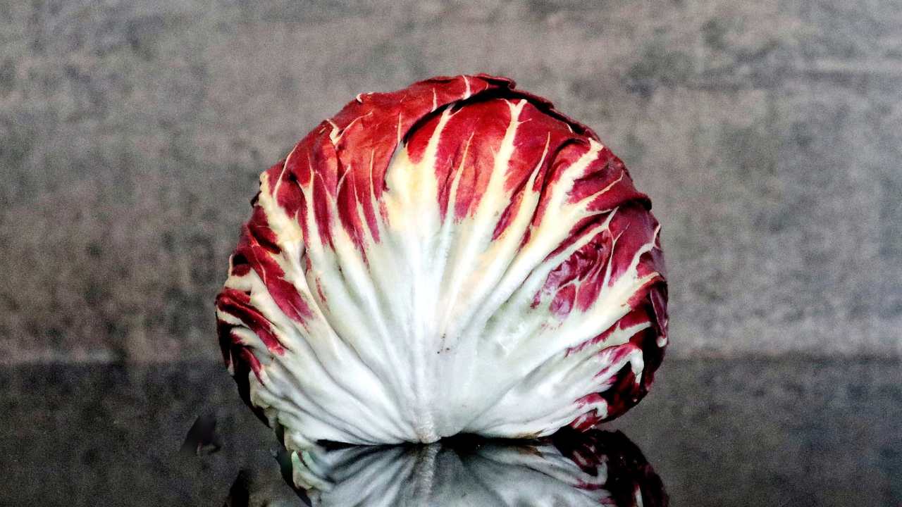 glicemia alta radicchio