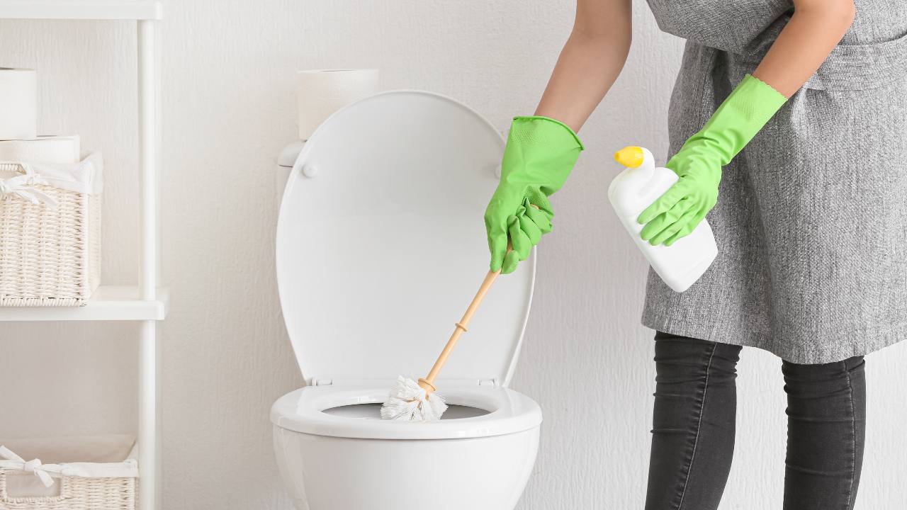 i metodi per pulire wc e spazzola