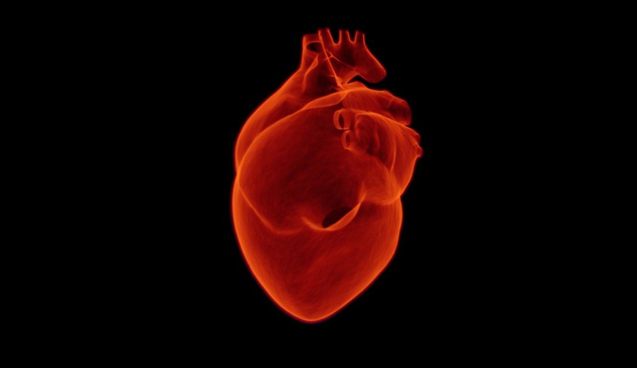 cuore-aritmia-cardiaca-
