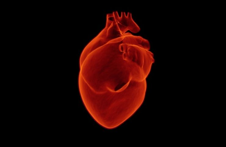 cuore-aritmia-cardiaca-