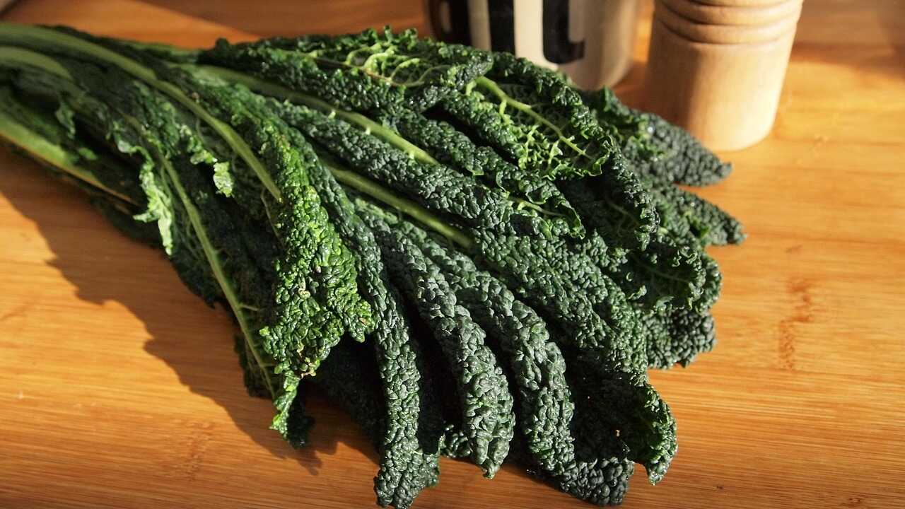 cavolo-nero_optimized