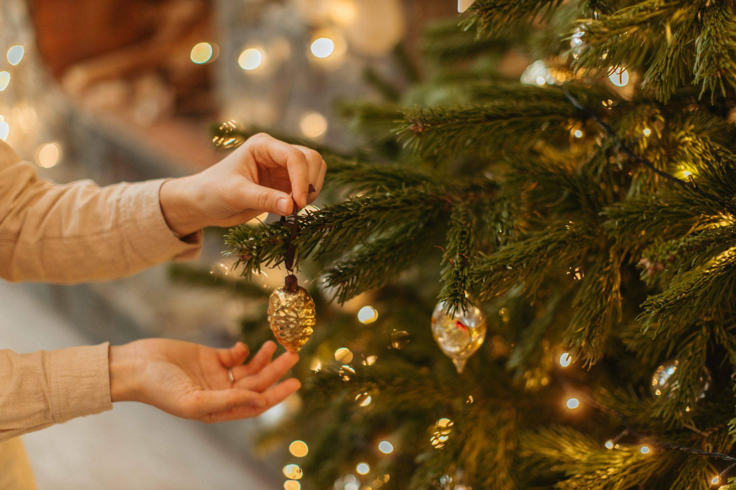 come rendere più pieno l'albero