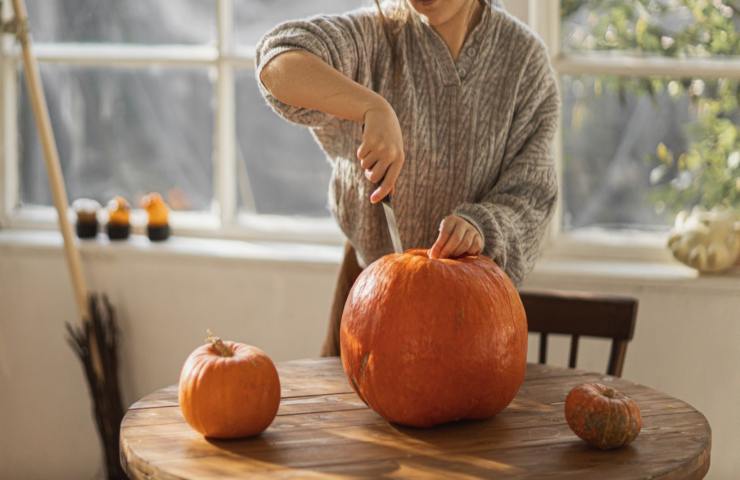 zucca