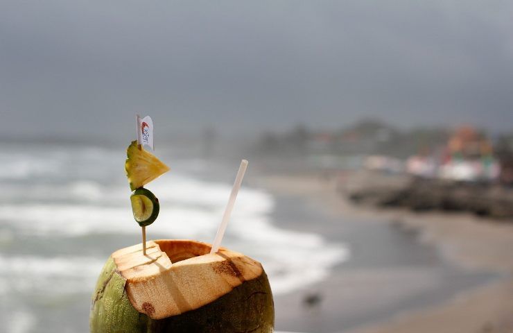 Ormai i prodotti a base di cocco sono sempre più diffusi in tutto il mondo