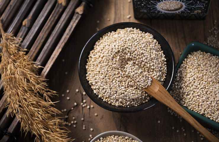 I semi di quinoa sono un eccellente nutriente, ricco di sali minerali e di vitamine