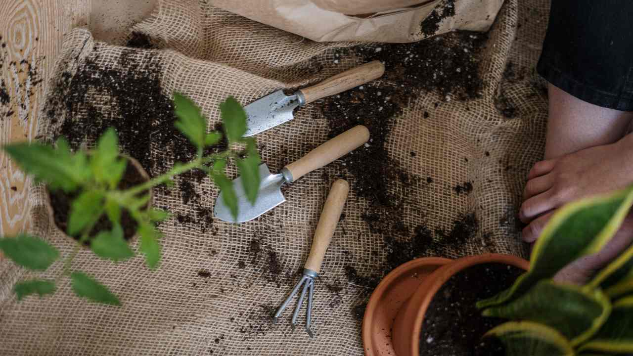 curare giardino gennaio