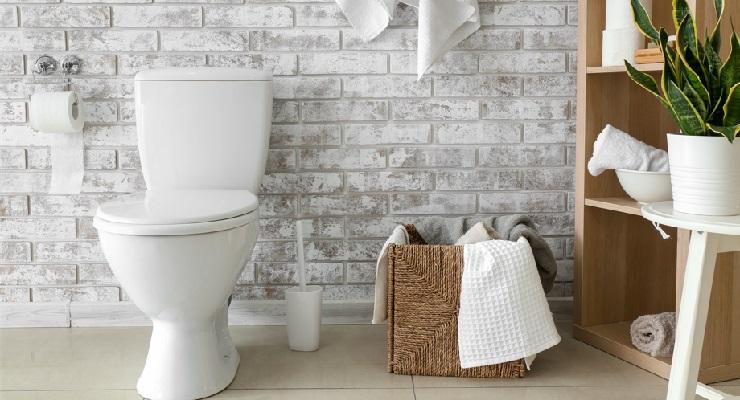 Eliminare cattivi odori bagno