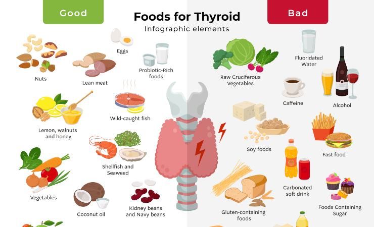 tiroidi cibi funzionamento
