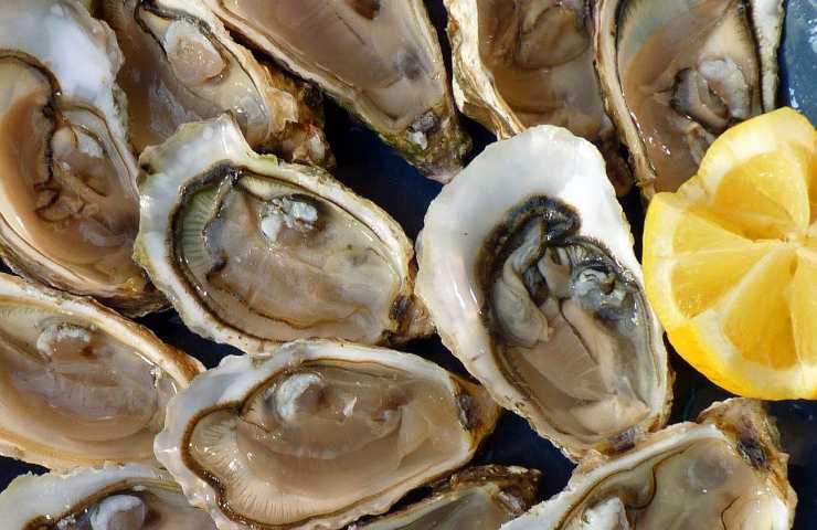 il minerale è presente in grosse quantità anche in questi molluschi