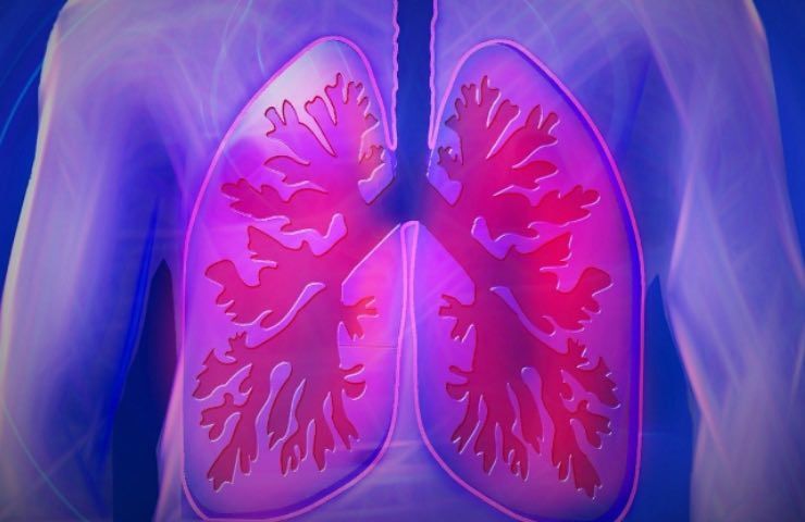 polmoni sani puliti