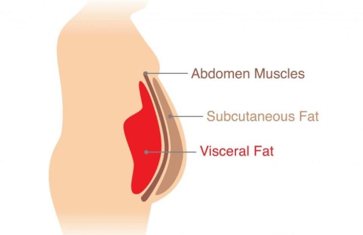 grasso viscerale cibi