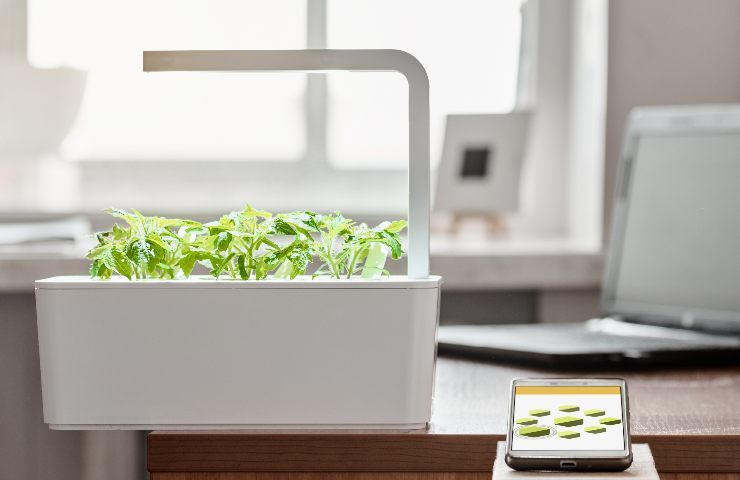 Lo smart-garden è un macchinario che permette una coltivazione domestica