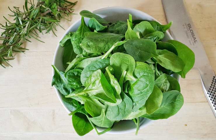 Spinaci e cavoli sono essenziali nella dieta, poiché ricchi di fibre, di vitamina K, di sali minerali