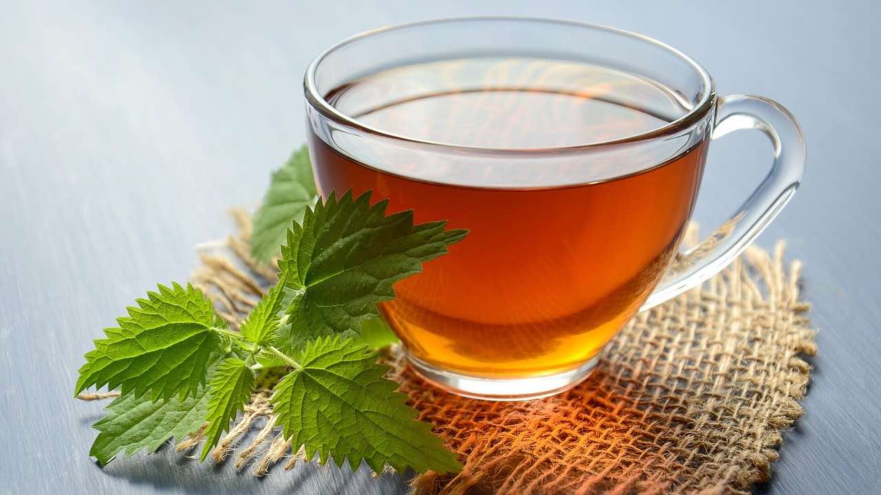 tisana alloro ricetta