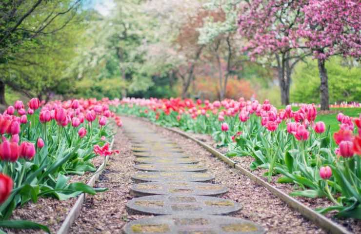 idee giardino sassi