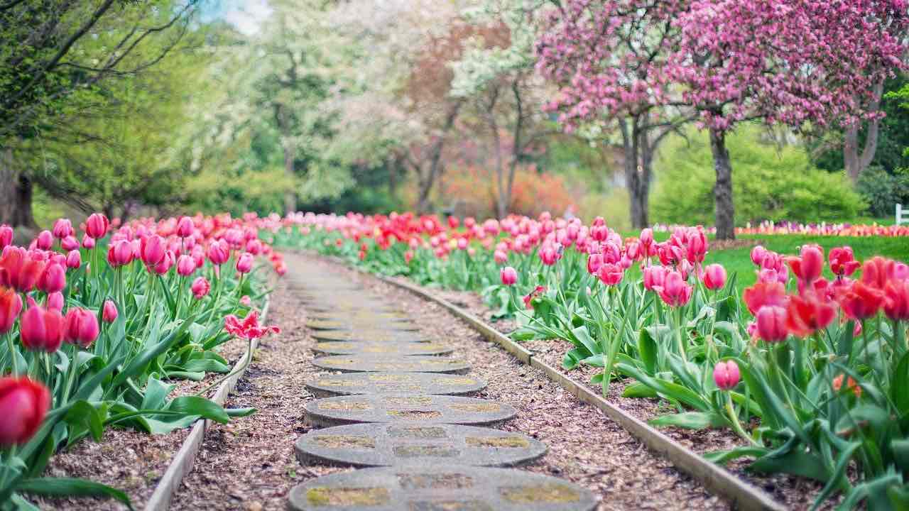 idee giardino sassi