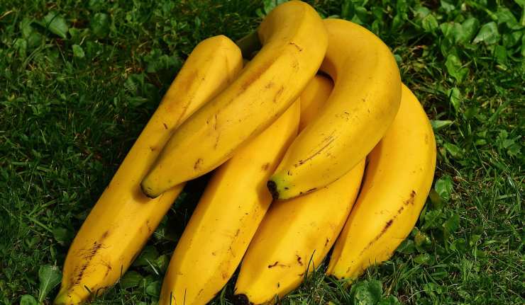 banane