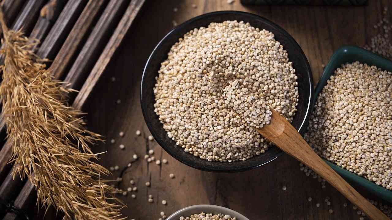 I semi di quinoa sono un eccellente nutriente, ricco di sali minerali e di vitamine
