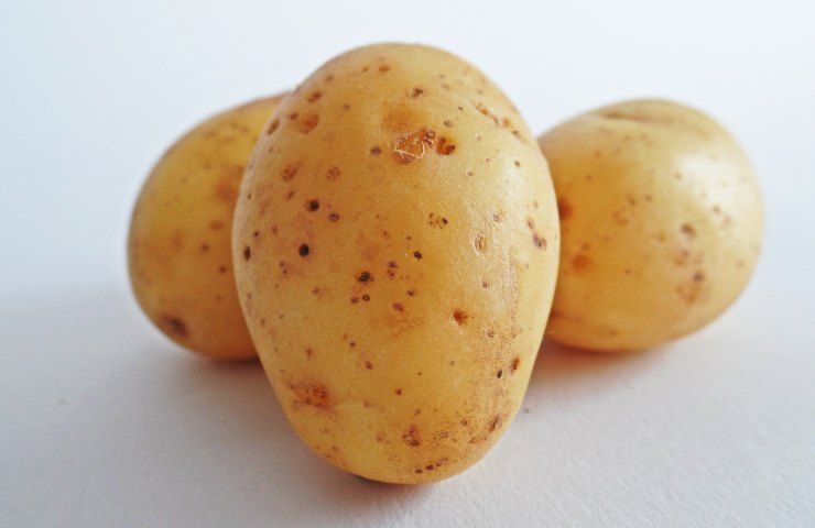 Patate