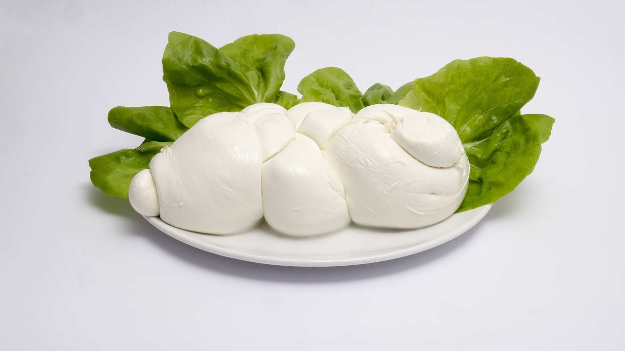 Mozzarella