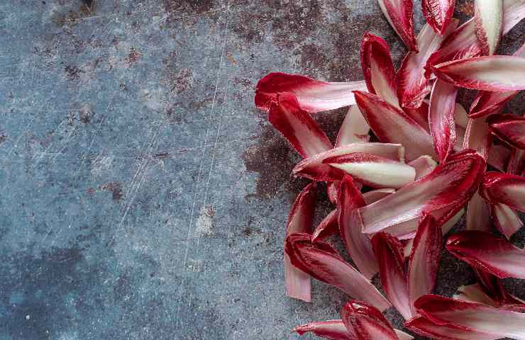 radicchio al forno