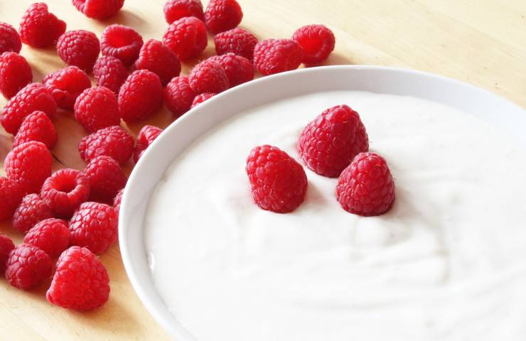 Yogurt