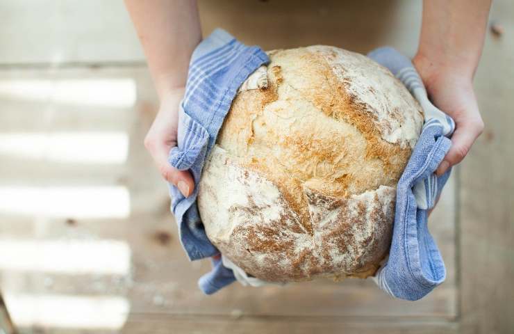 Il modo migliore per conservare il pane