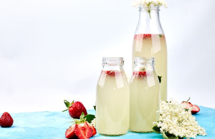 Kefir di acqua ricca di proteine