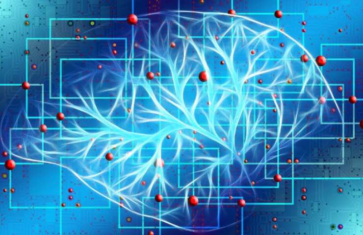 processo cerebro rielaborazione informazioni 