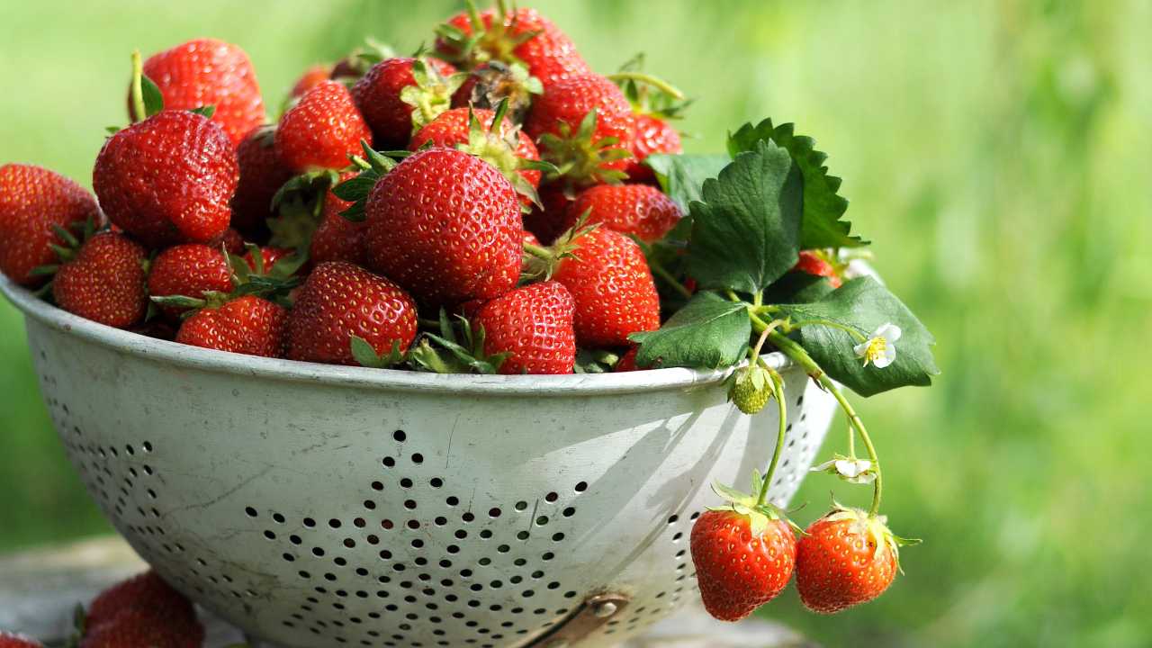 Condimento fragole senza zucchero e panna