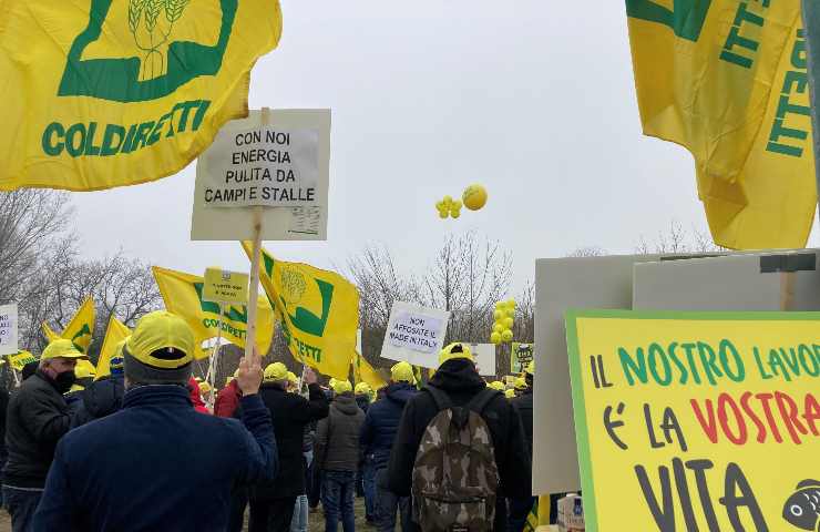 Manifestazione dei coltivatori