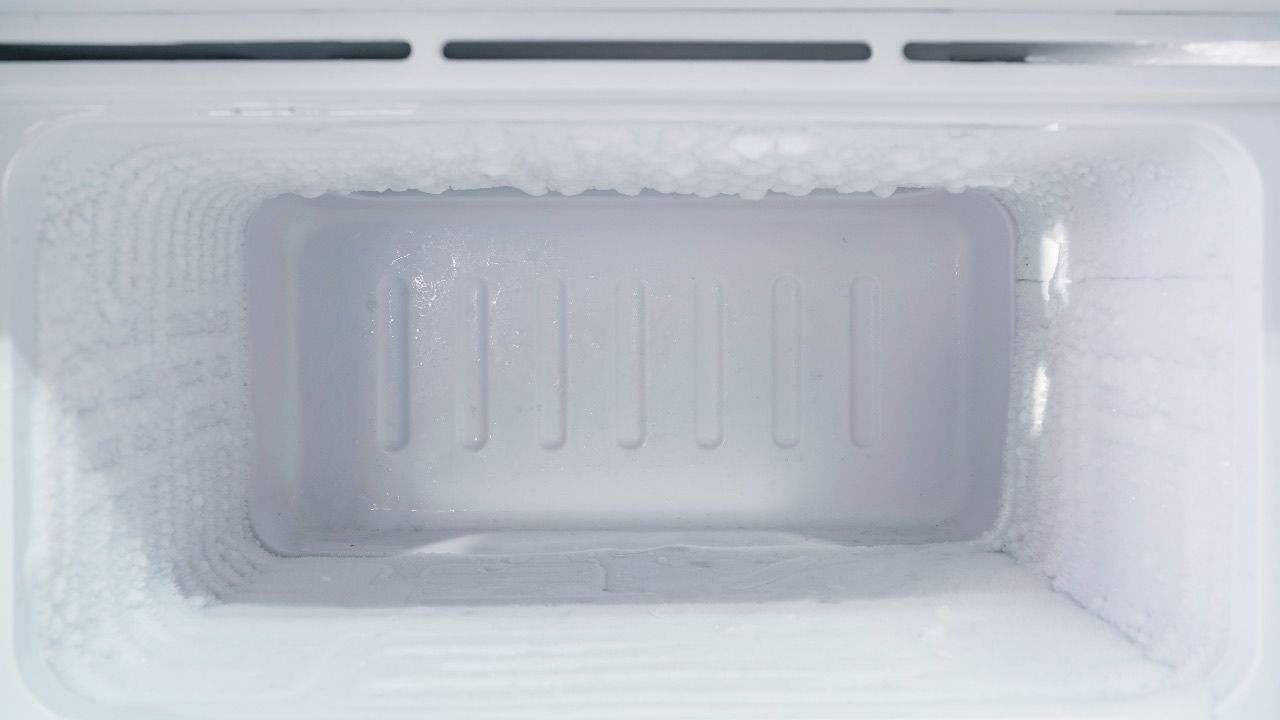 congelatore luce motivo